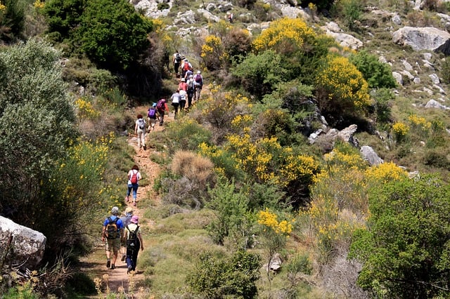 People walking up a mountain 