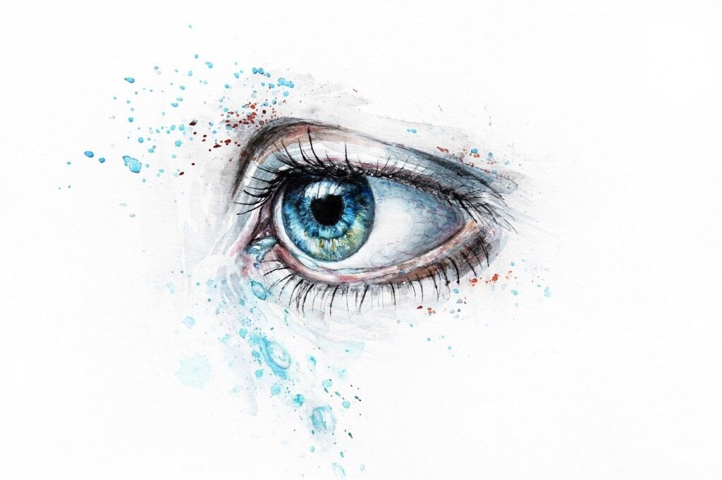 Eye 
