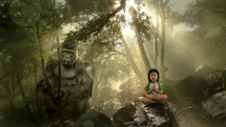Image of Gorilla and small boy in a jungle in The Healing Meditation