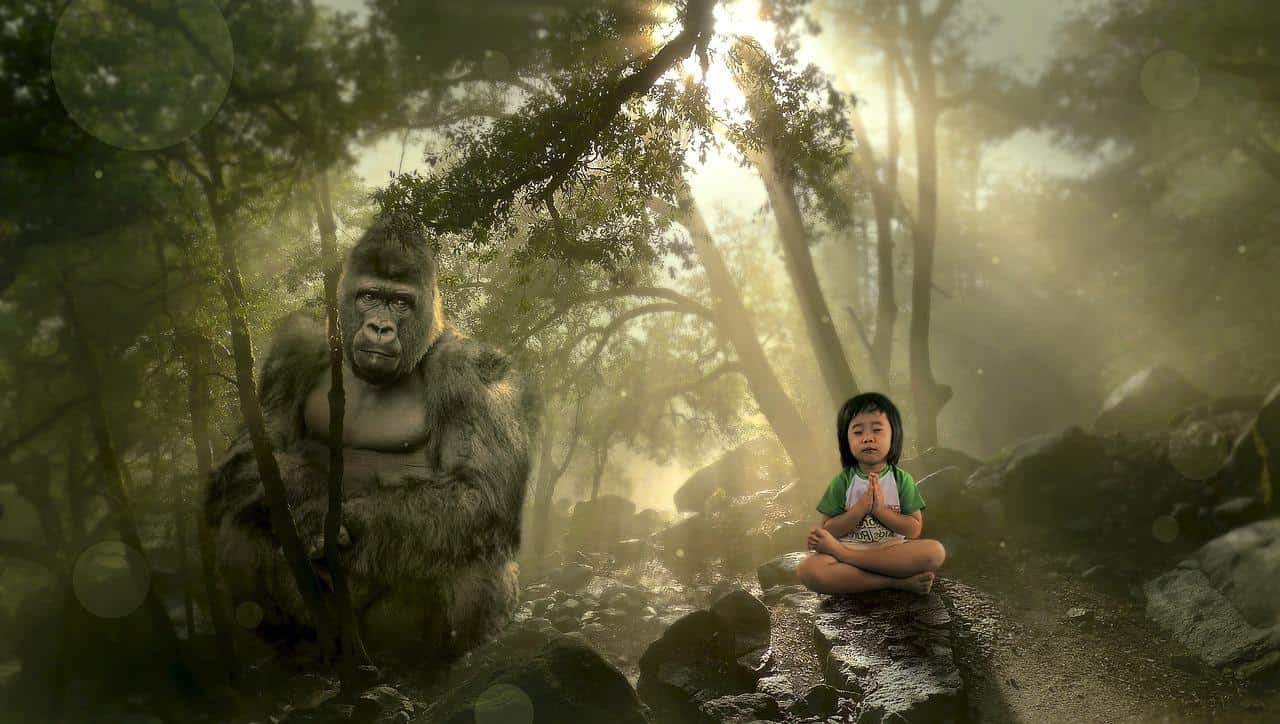 Image of Gorilla and small boy in a jungle in The Healing Meditation