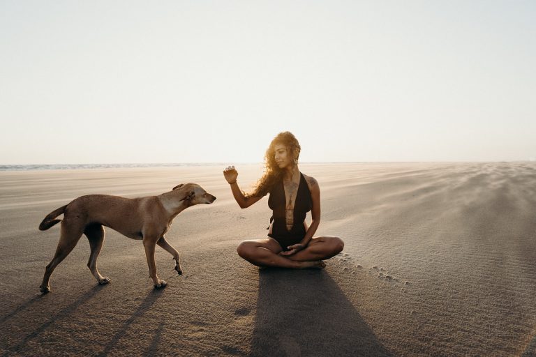 Lady with he dog on the beach with and understanding of the Law of Attraction