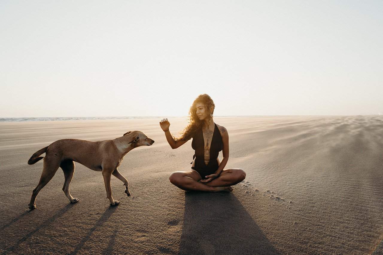 Lady with he dog on the beach with and understanding of the Law of Attraction